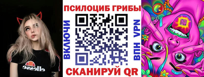 Псилоцибиновые грибы Psilocybe  Сосновоборск 