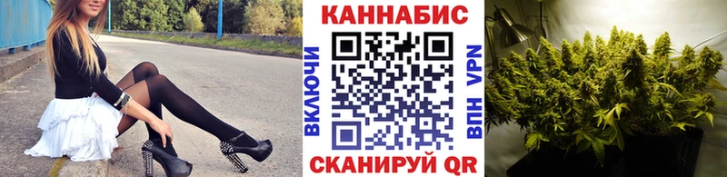 Канабис OG Kush Сосновоборск
